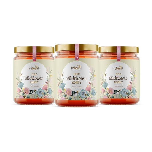 3x So Bee It Pure Wildflower Honey 227g