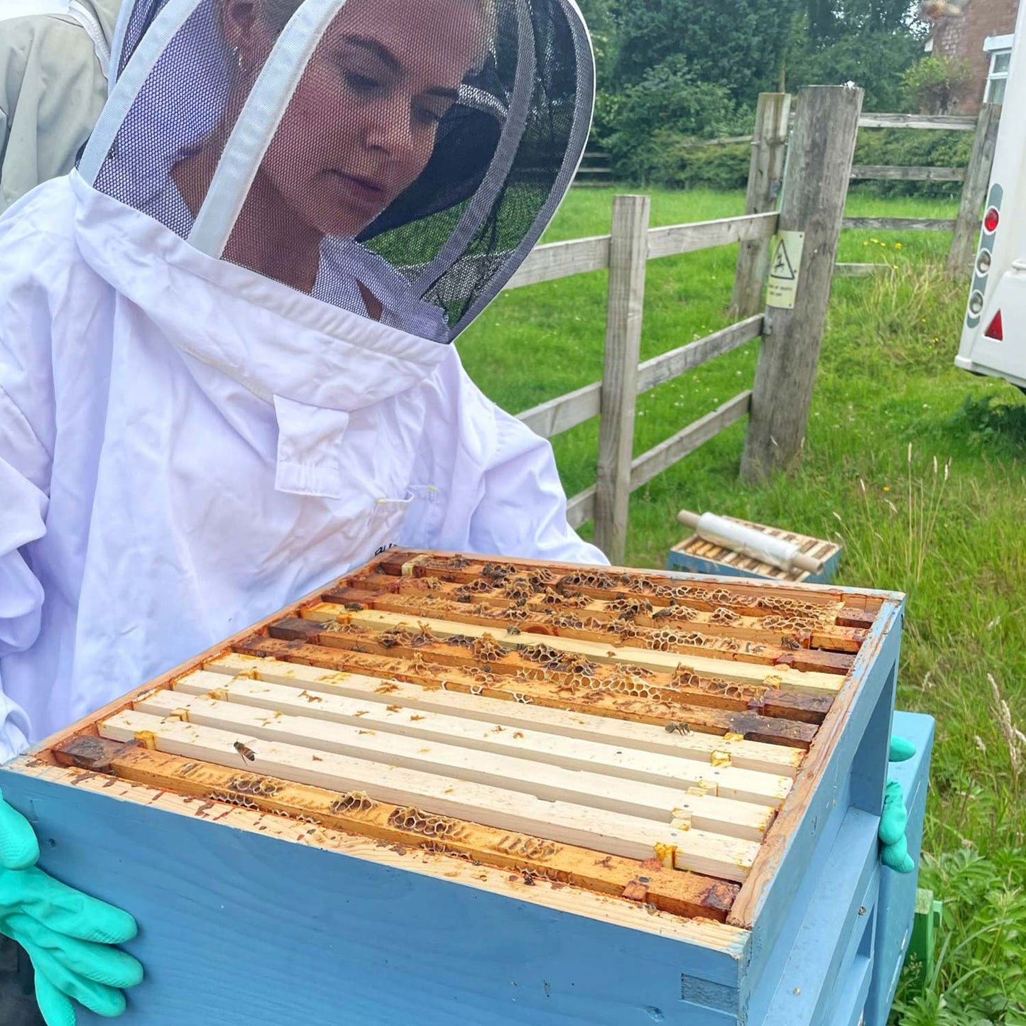 So Bee It Pure Wildflower Honey 227g