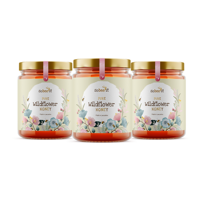 3x So Bee It Pure Wildflower Honey 227g